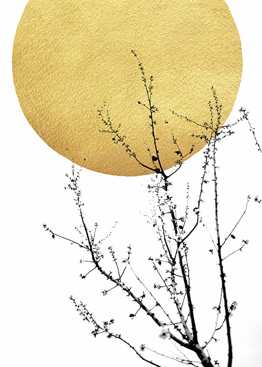 – Póster de diseño gráfico con unas ramas oscuras al frente y un sol amarillo detrás