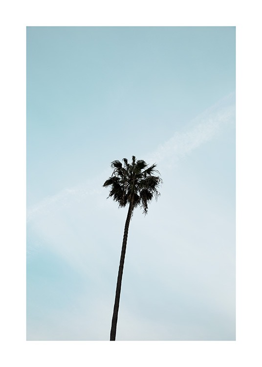 Palm Tree Poster / Naturaleza con Desenio AB (10955)