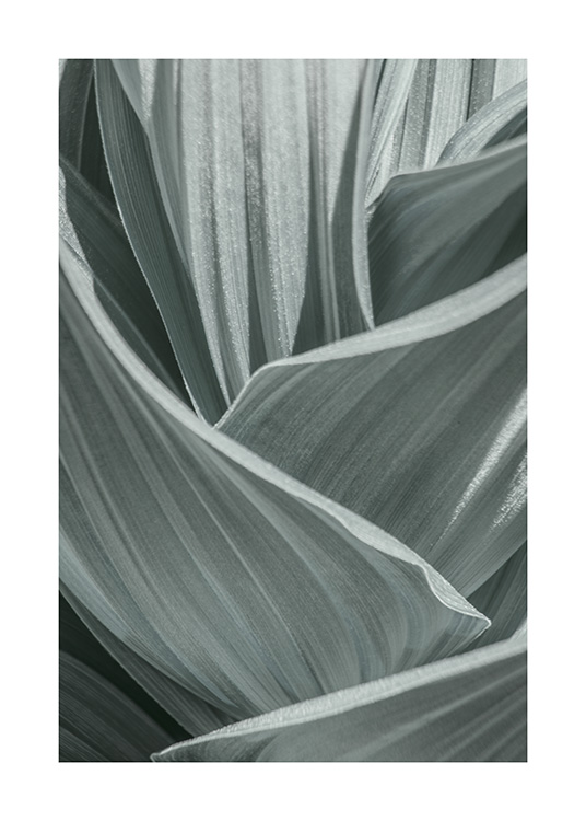 Abstract Green Leaves Poster / Fotografías con Desenio AB (10982)