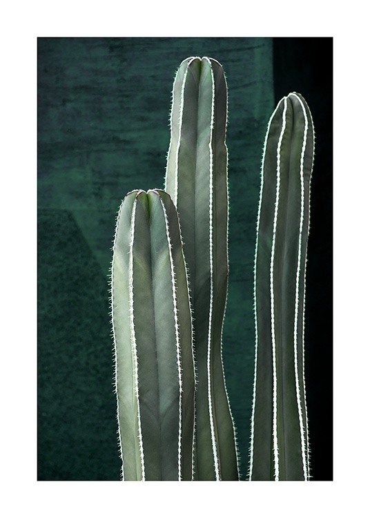 Dark Green Cactus Poster / Fotografías con Desenio AB (10983)