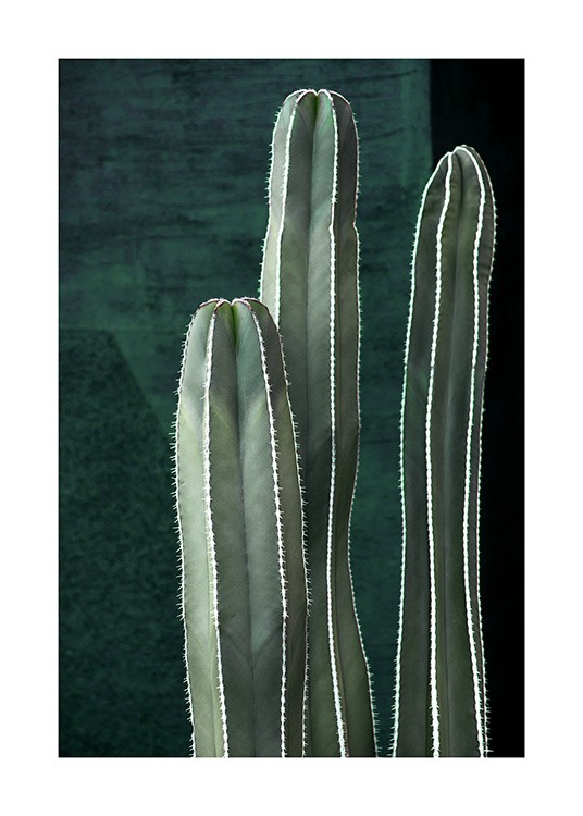 Dark Green Cactus Poster