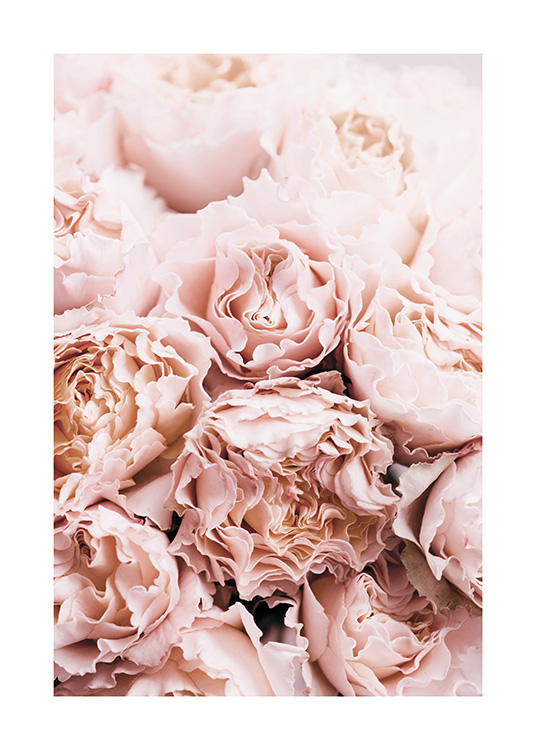 Bouquet of Roses Poster / Fotografías con Desenio AB (11189)