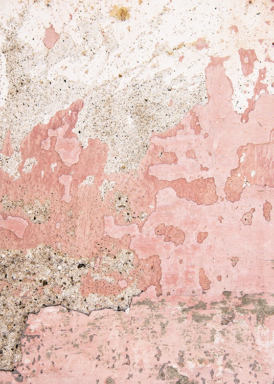 Old Pink Wall Poster / Fotografías con Desenio AB (11243)
