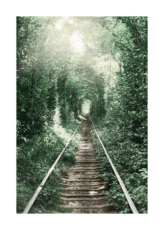 Forest Tunnel Poster