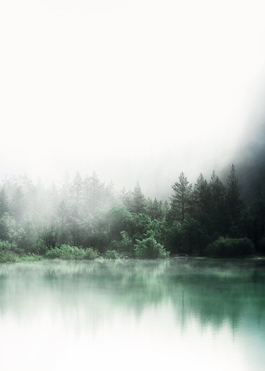  – Fotografía de un bosque bajo una niebla espesa, con un lago enfrente y árboles que se reflejan en él