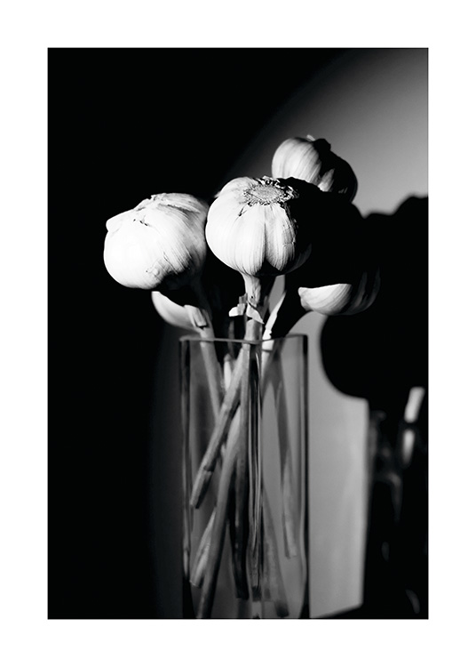 Garlic in a Vase Poster / Blanco y negro con Desenio AB (11278)