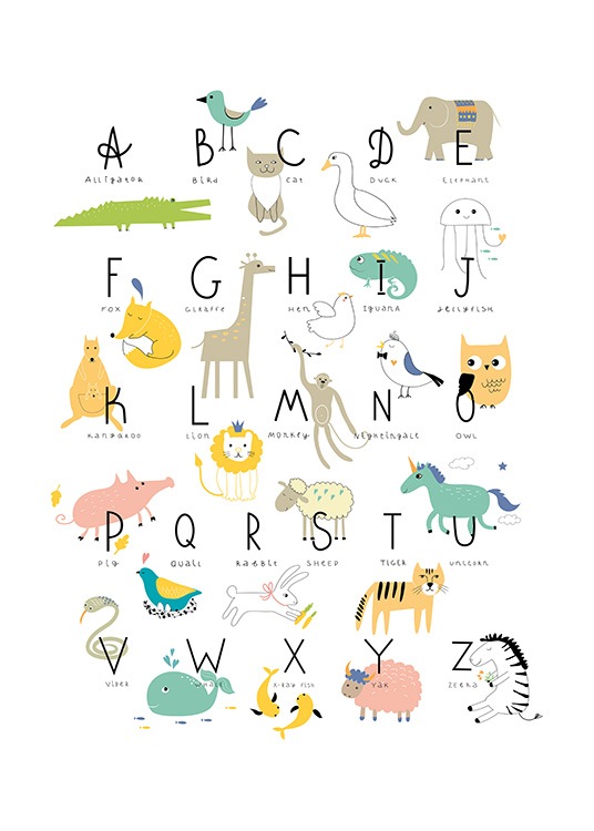 – Póster con fondo blanco y un abecedario de animales. 