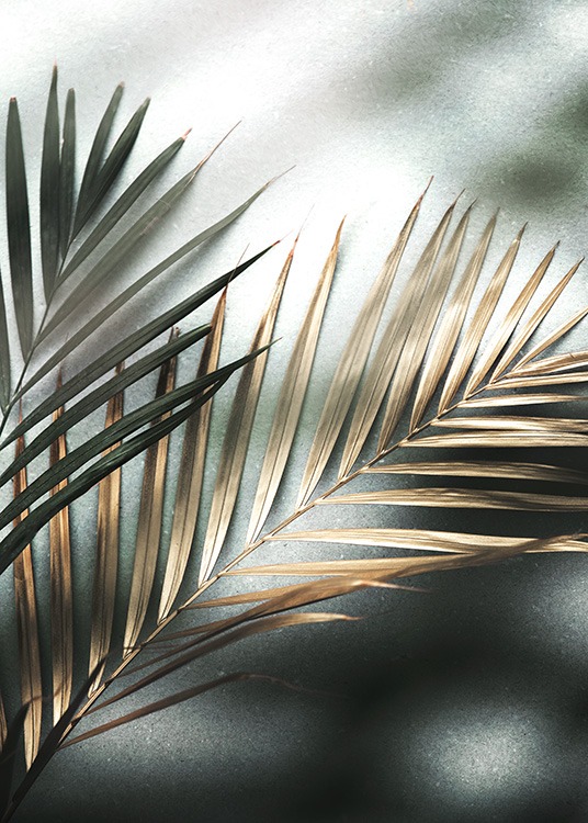 – Fotografía de hojas de palmera doradas y verdes con rayos de sol y un fondo de piedra
