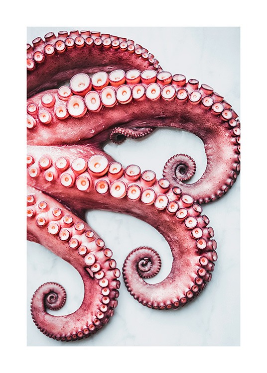 Octopus Arms Poster / Cuadros de cocina con Desenio AB (11519)
