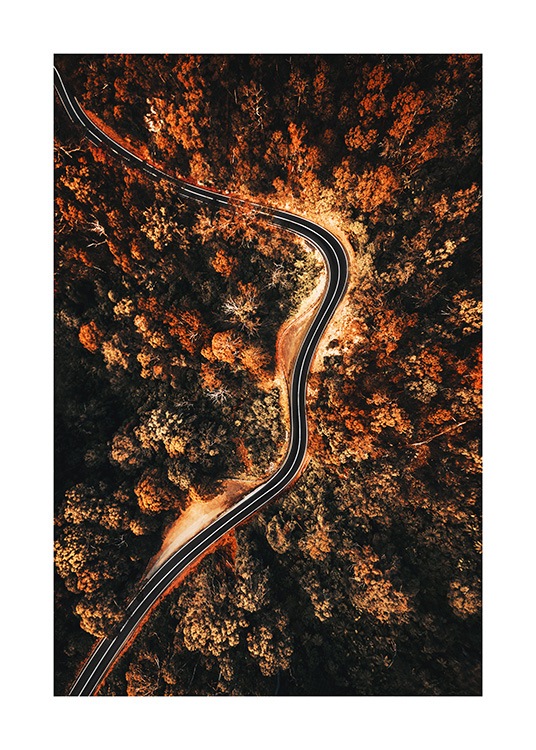 Autumn Aerial View Poster / Naturaleza con Desenio AB (11576)