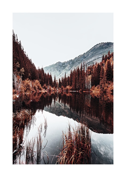 - Póster de un lago con montañas y árboles en un día frío