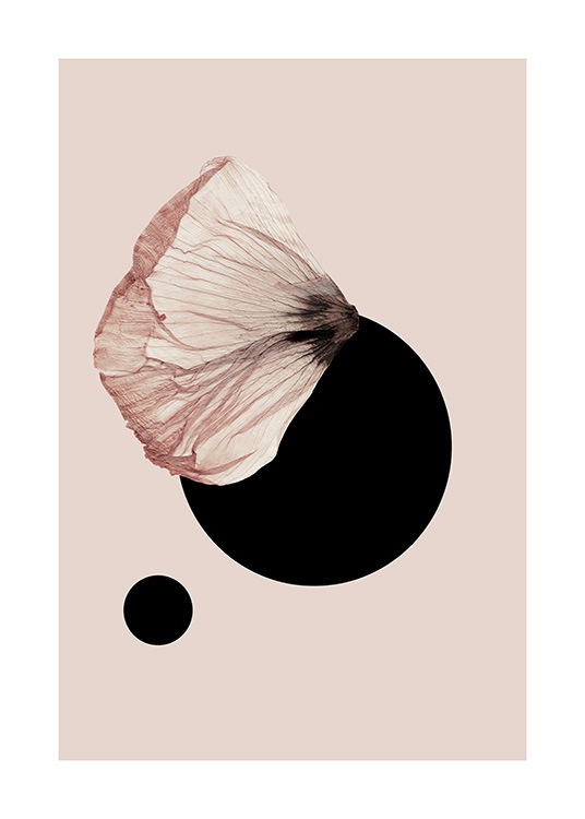 Dried Leaf No3 Poster