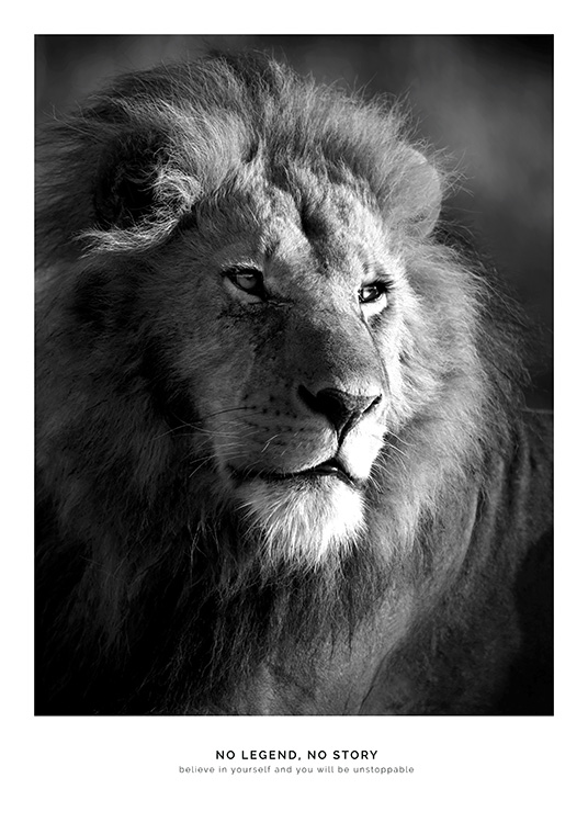 Lion Legend Poster / Animales con Desenio AB (11855)