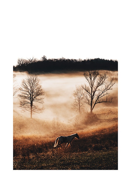Horse in Landscape Poster / Fotografías con Desenio AB (11862)