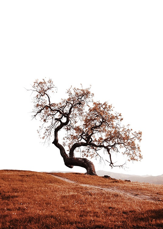 –Póster con un árbol en medio de una colina 