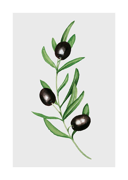 Olives Poster / Cuadros de cocina con Desenio AB (11960)