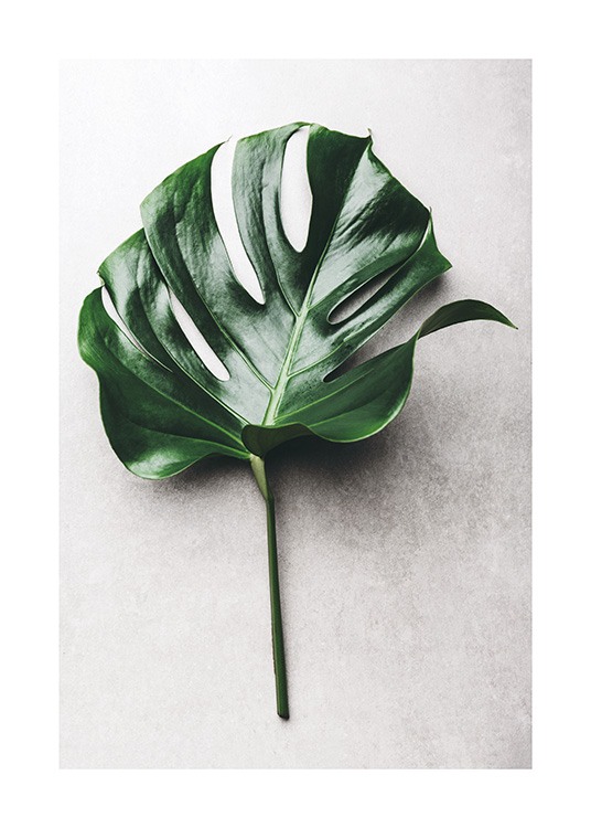 Green Monstera Leaf No1 Poster / Fotografías con Desenio AB (12050)