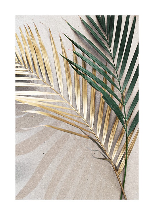  – Fotografía de dos hojas de palmeras; una dorada y otra verde, con fondo de piedra color beis