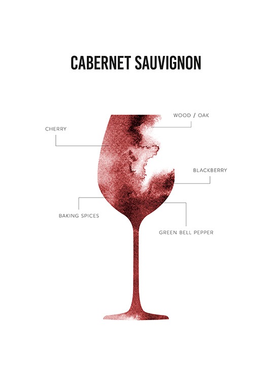 Cabernet Sauvignon Anatomy Poster