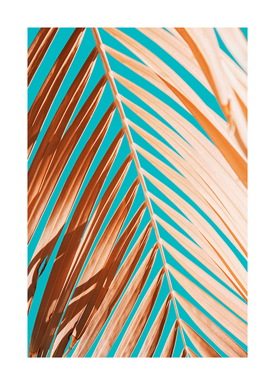 Palm Leaf Against Blue Sky Poster / Fotografías con Desenio AB (12414)