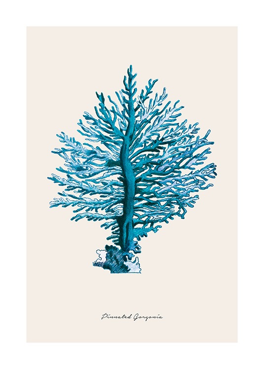 Blue Pinnated Gorgonia Poster / Naturaleza con Desenio AB (12430)