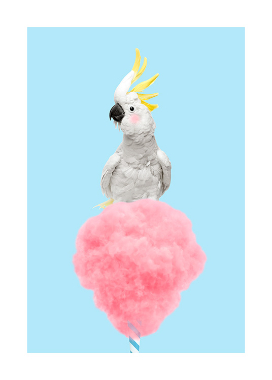 Cotton Candy Cockatoo Poster / Pájaros con Desenio AB (12478)