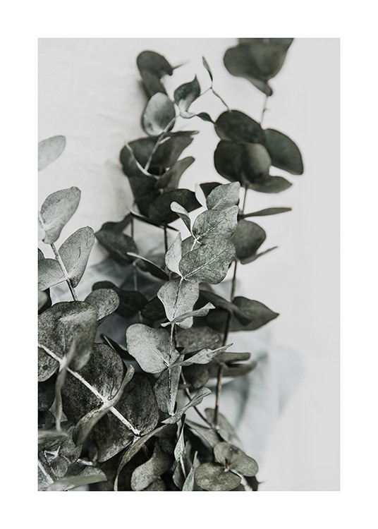 Eucalyptus Bouquet No2 Poster / Fotografías con Desenio AB (12582)