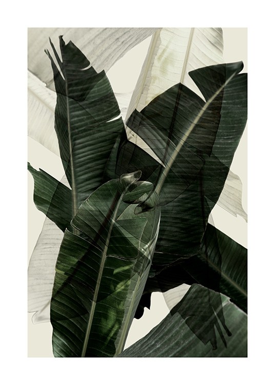 Banana Leaf Shades No2 Poster / Fotografías con Desenio AB (12586)
