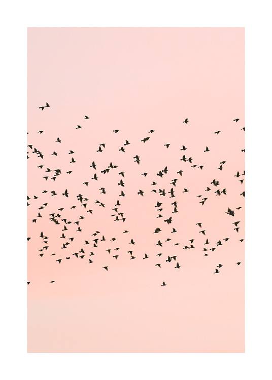 Pink Sunset Birds Poster / Naturaleza con Desenio AB (12601)