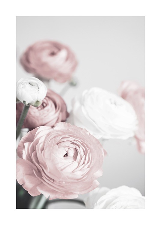 Lovely Roses Poster / Fotografías con Desenio AB (12654)