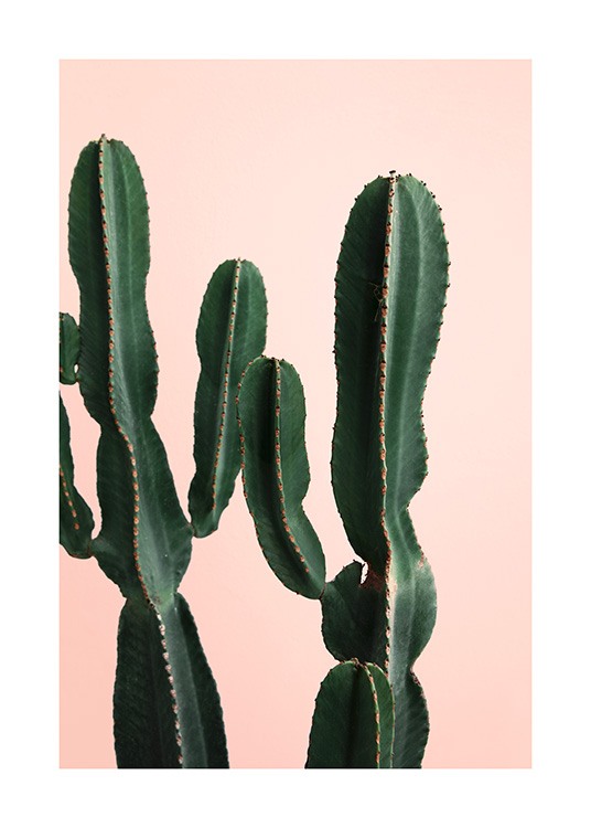 Cactus Twins Poster