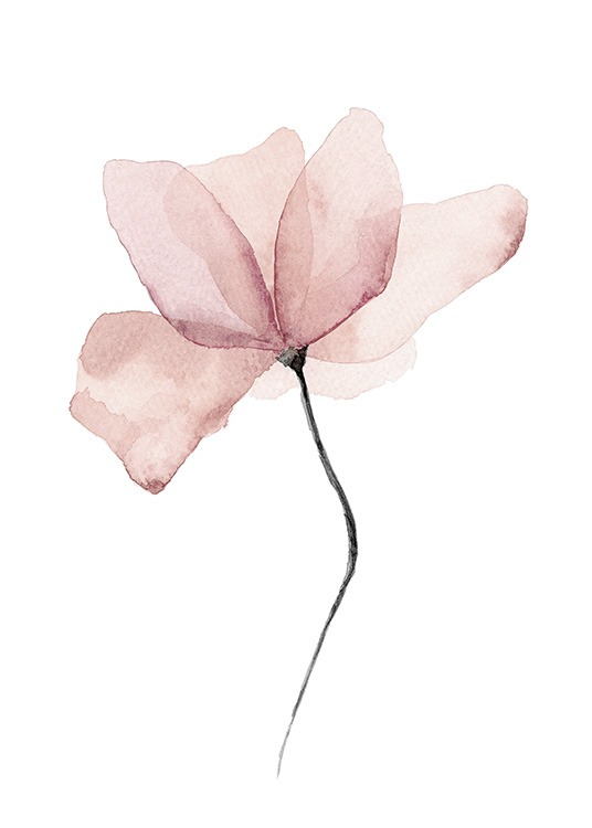  – Acuarela hecha a mano de una flor color rosa sobre un fondo blanco
