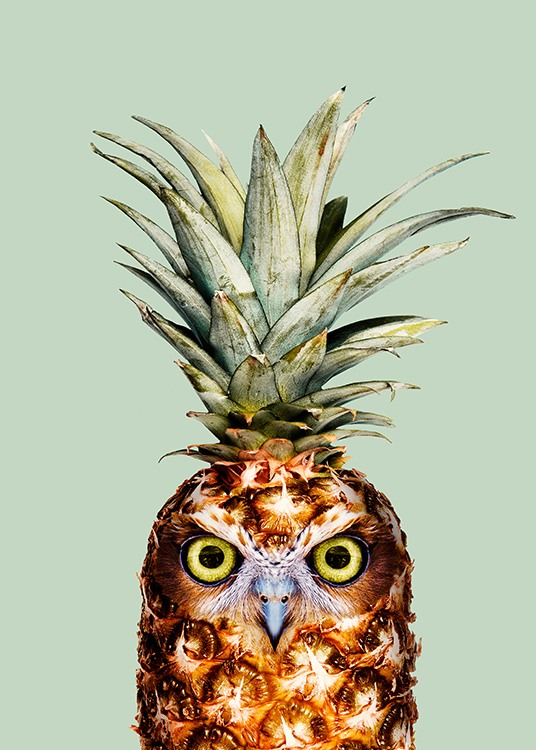 Pineapple Owl Poster / Fotografías con Desenio AB (12941)