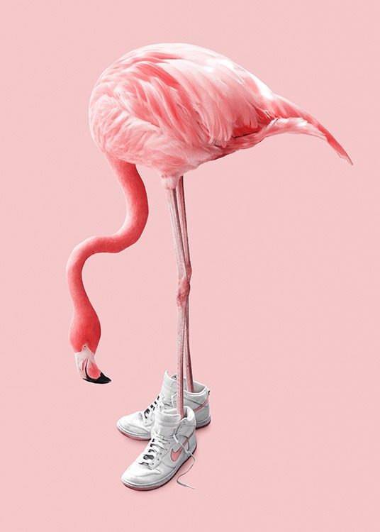 Sneaker Flamingo Poster / Fotografías con Desenio AB (12942)