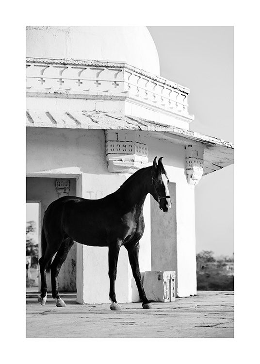 Fotografía de un caballo negro delante de un edificio antiguo en blanco y negro