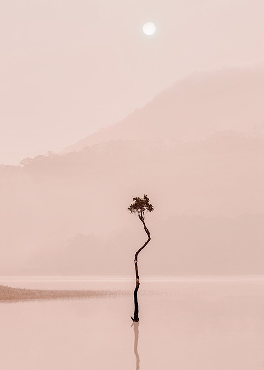 Fotografía de un árbol que se refleja en un lago con niebla rosa con montañas y la luna al fondo