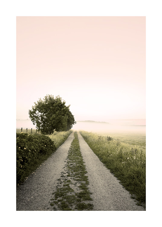 Fotografía de un cielo rosado y un camino nebuloso rodeado de tierra verde
