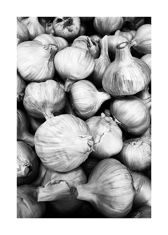  - Fotografía en blanco y negro de un manojo de ajos. 