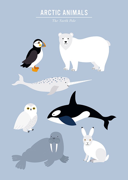 Arctic Animals Poster / Pósters infantiles con Desenio AB (13316)