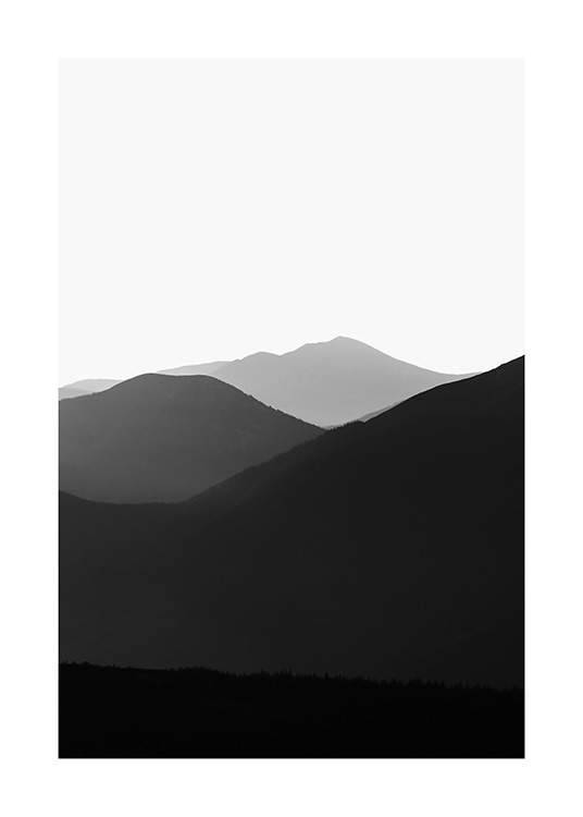  - Fotografía en blanco y negro de los montes Cárpatos bajo la niebla. 