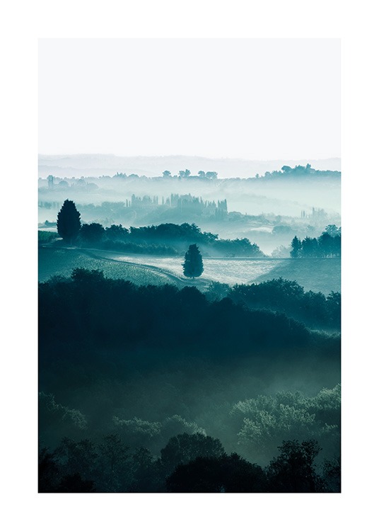  - Fotografía de campos con árboles bajo la neblina en la región de Toscana.