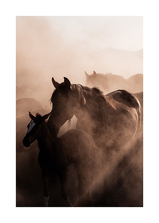  - Fotografía de caballos bajo el polvo, con un potrillo y su madre en primer plano.