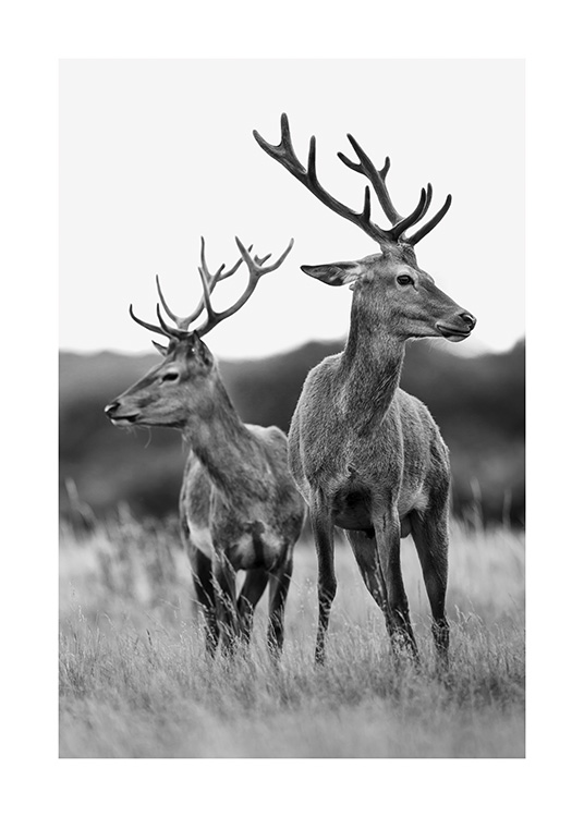 Deer Friends Poster / Animales con Desenio AB (13590)