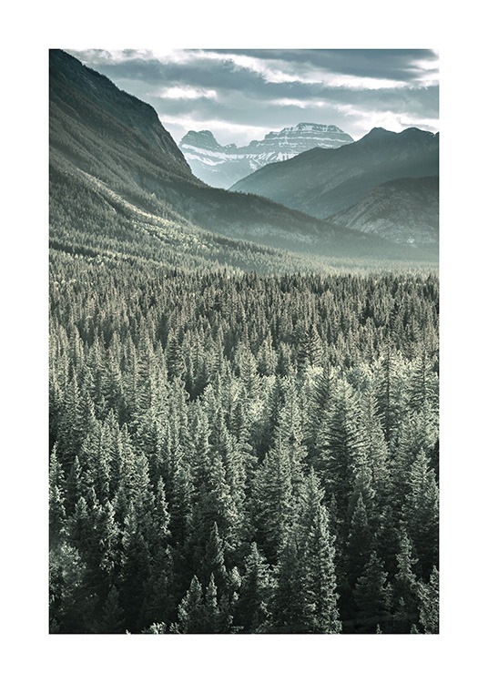 Rocky Mountains Forest Poster / Naturaleza con Desenio AB (13592)