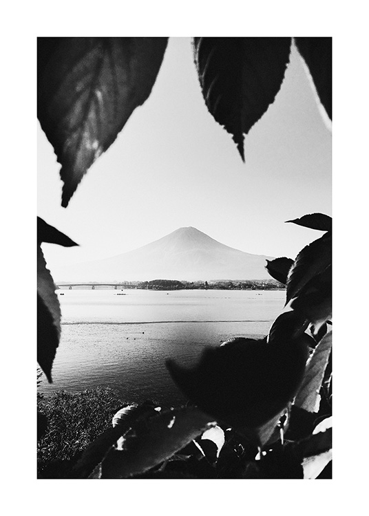 Mount Fuji B&W Poster / Montaña con Desenio AB (13638)