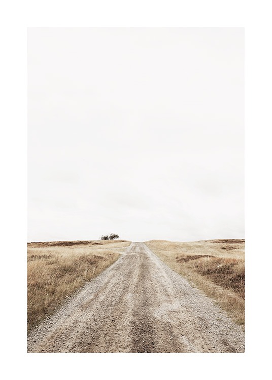 Lonely Road Poster / Paisajes con Desenio AB (13644)