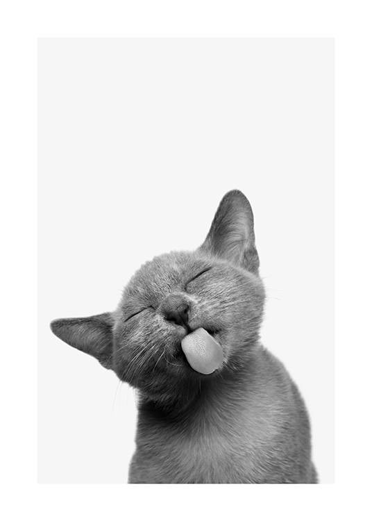 Cat Tongue Poster / Animales con Desenio AB (13861)