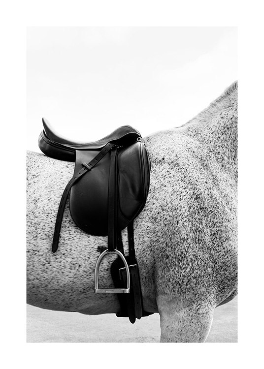 Horse Saddle Poster / Caballos con Desenio AB (13911)