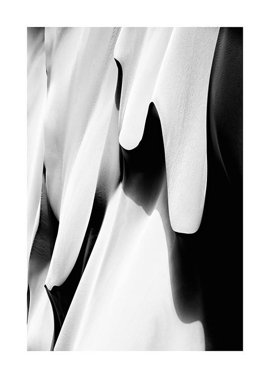  - Fotografía en blanco y negro con una imagen abstracta de dunas en el desierto.