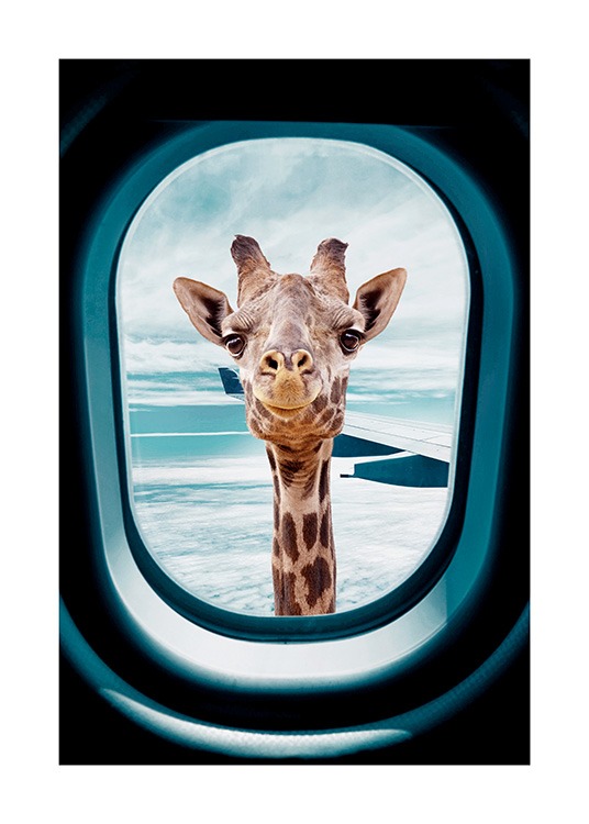  - Fotografía de una jirafa en la ventanilla de un avión.
